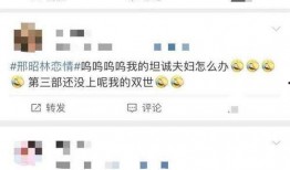 爆料坦诚夫妇视频,真实情感与生活瞬间